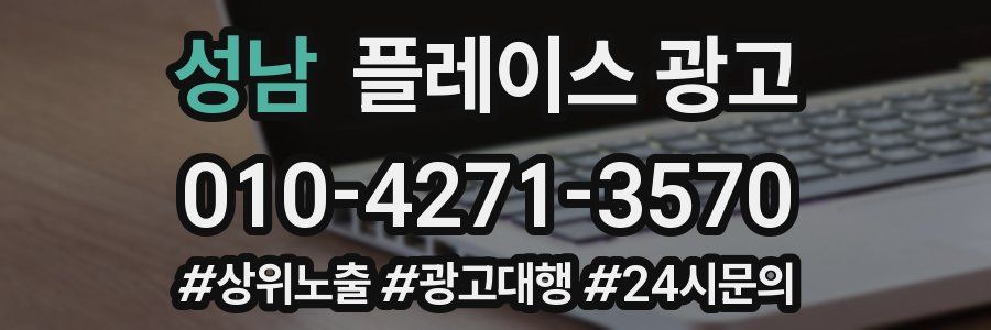성남 플레이스 광고