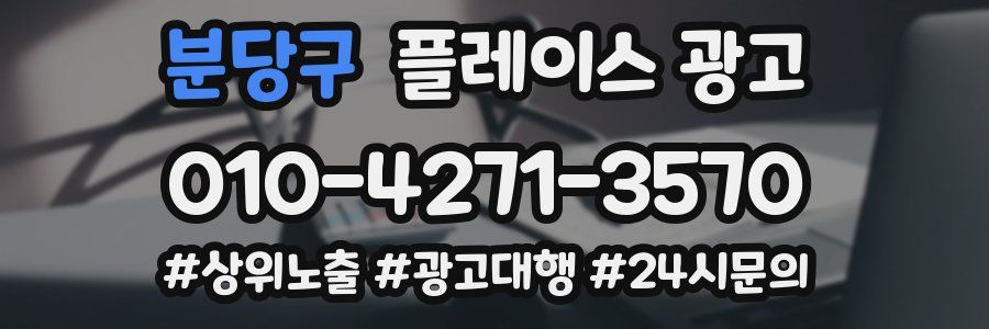분당구 플레이스 광고