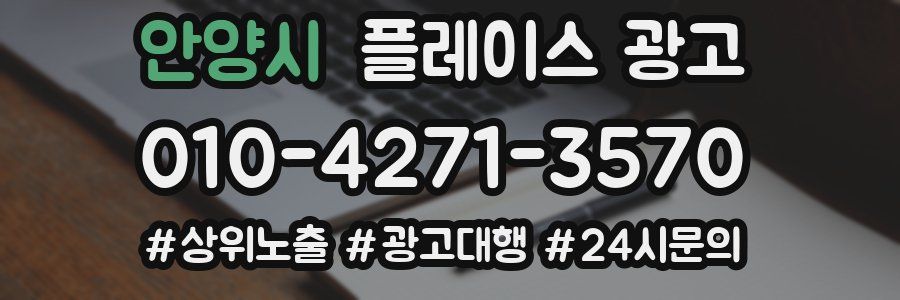 안양시 플레이스 광고