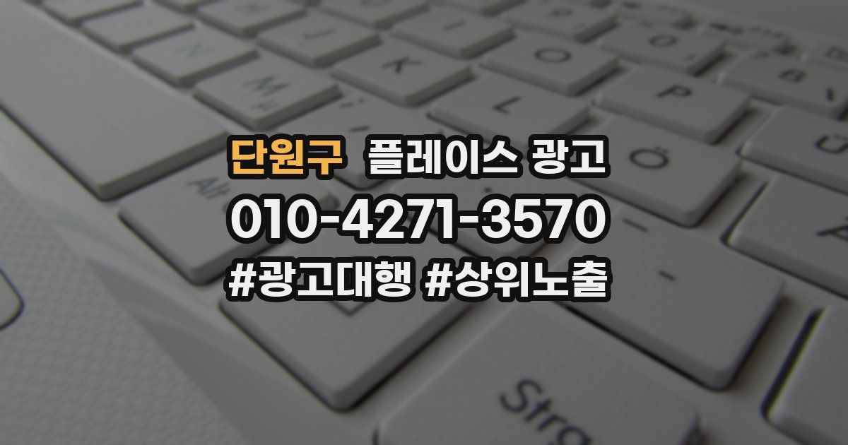 단원구 플레이스 광고
