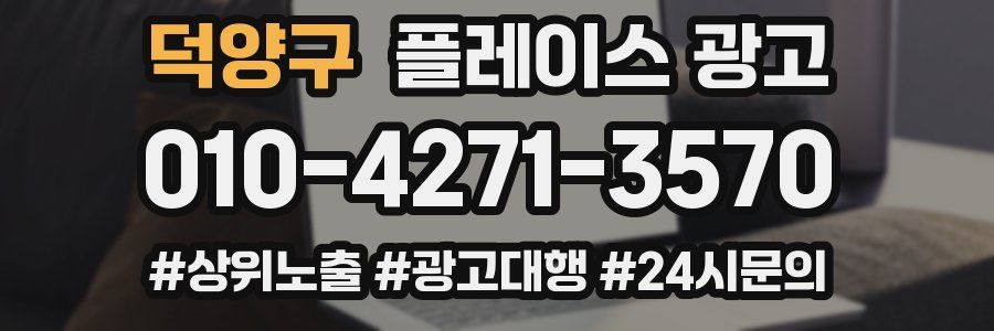 덕양구 플레이스 광고