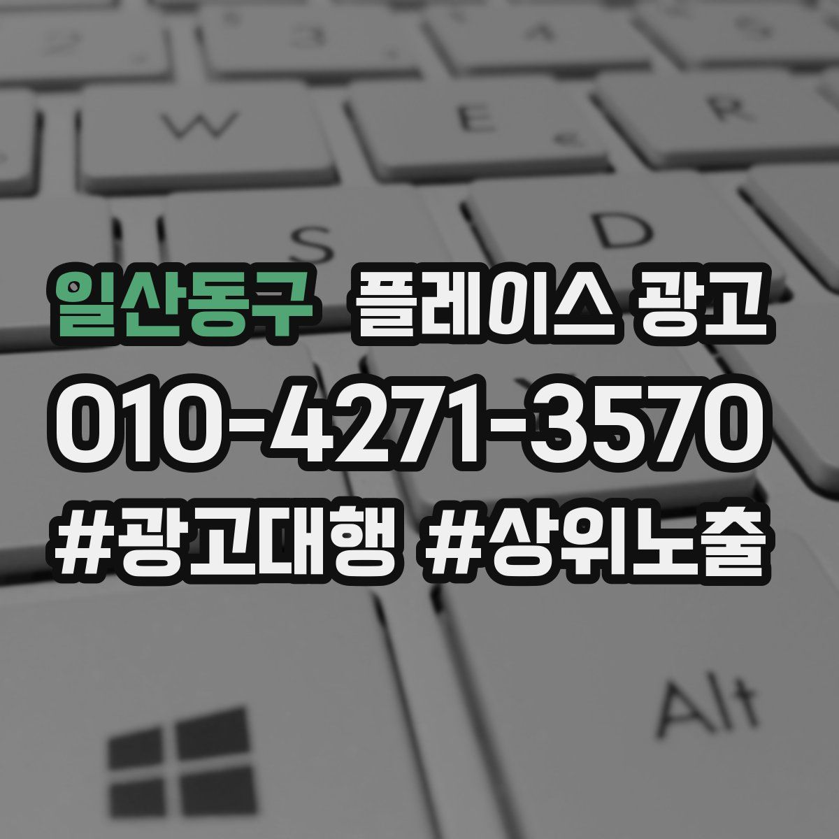 일산동구 플레이스 광고
