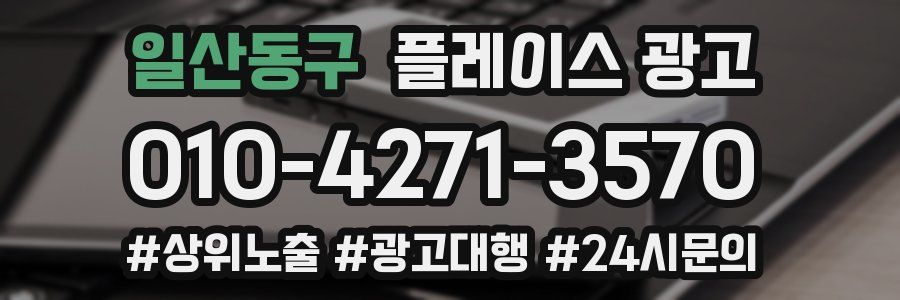 일산동구 플레이스 광고