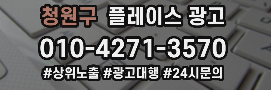 청원구 플레이스 광고