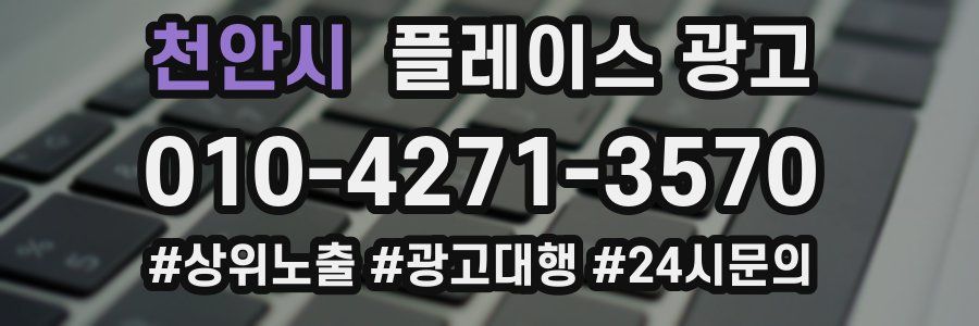 천안시 플레이스 광고