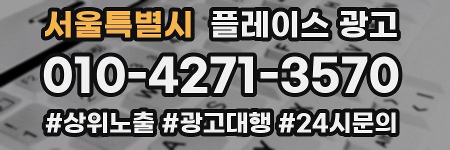 서울특별시 플레이스 광고