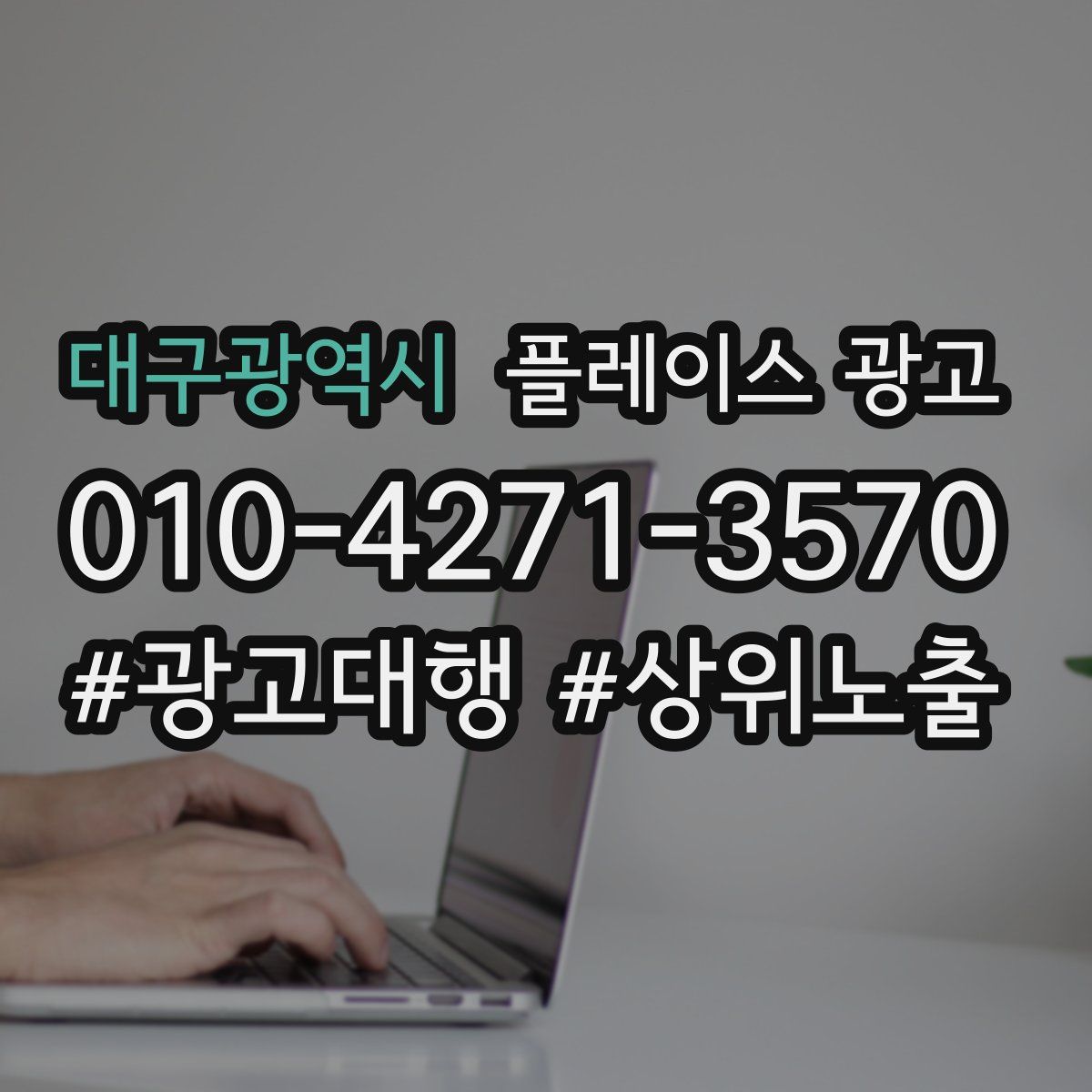 대구광역시 플레이스 광고