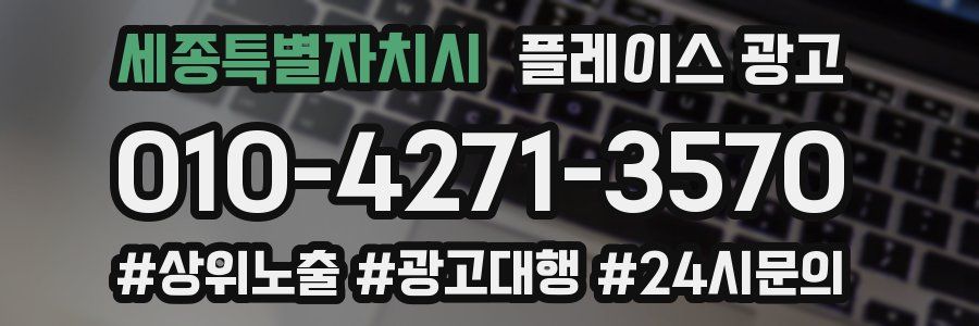 세종특별자치시 플레이스 광고