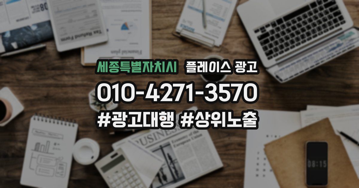 세종특별자치시 플레이스 광고