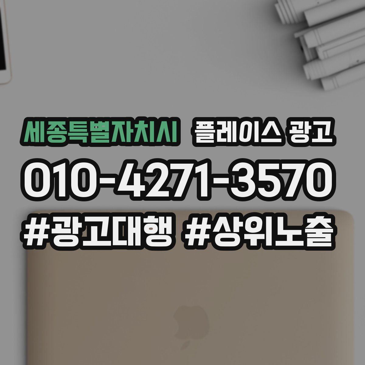 세종특별자치시 플레이스 광고