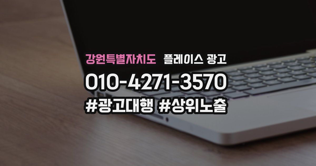 강원특별자치도 플레이스 광고