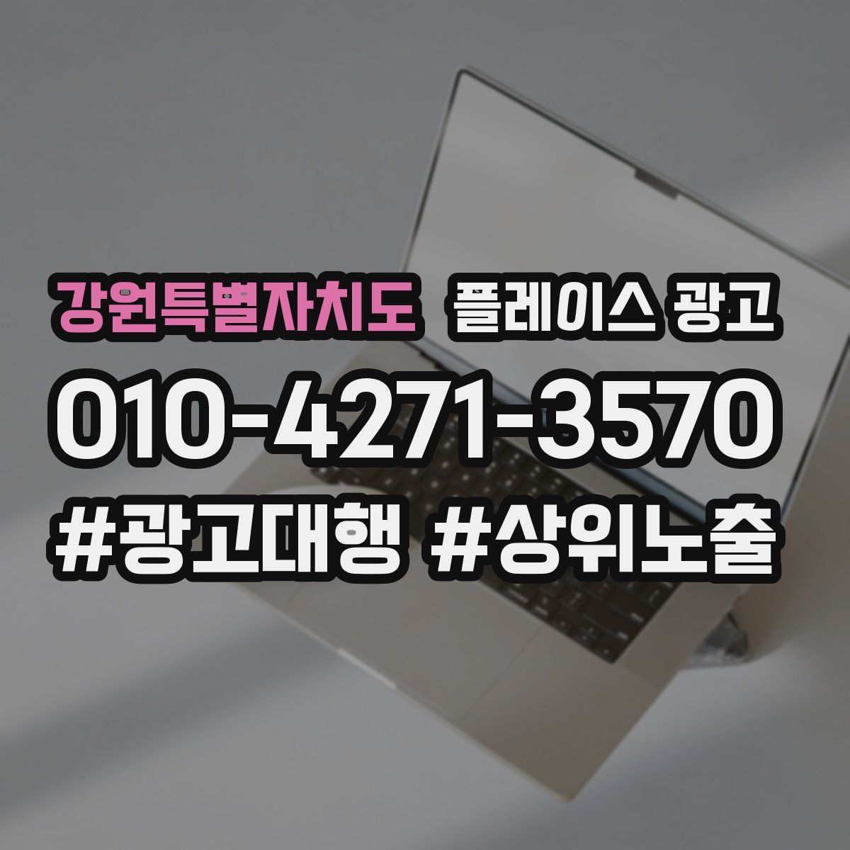 강원특별자치도 플레이스 광고