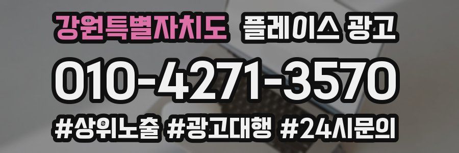 강원특별자치도 플레이스 광고