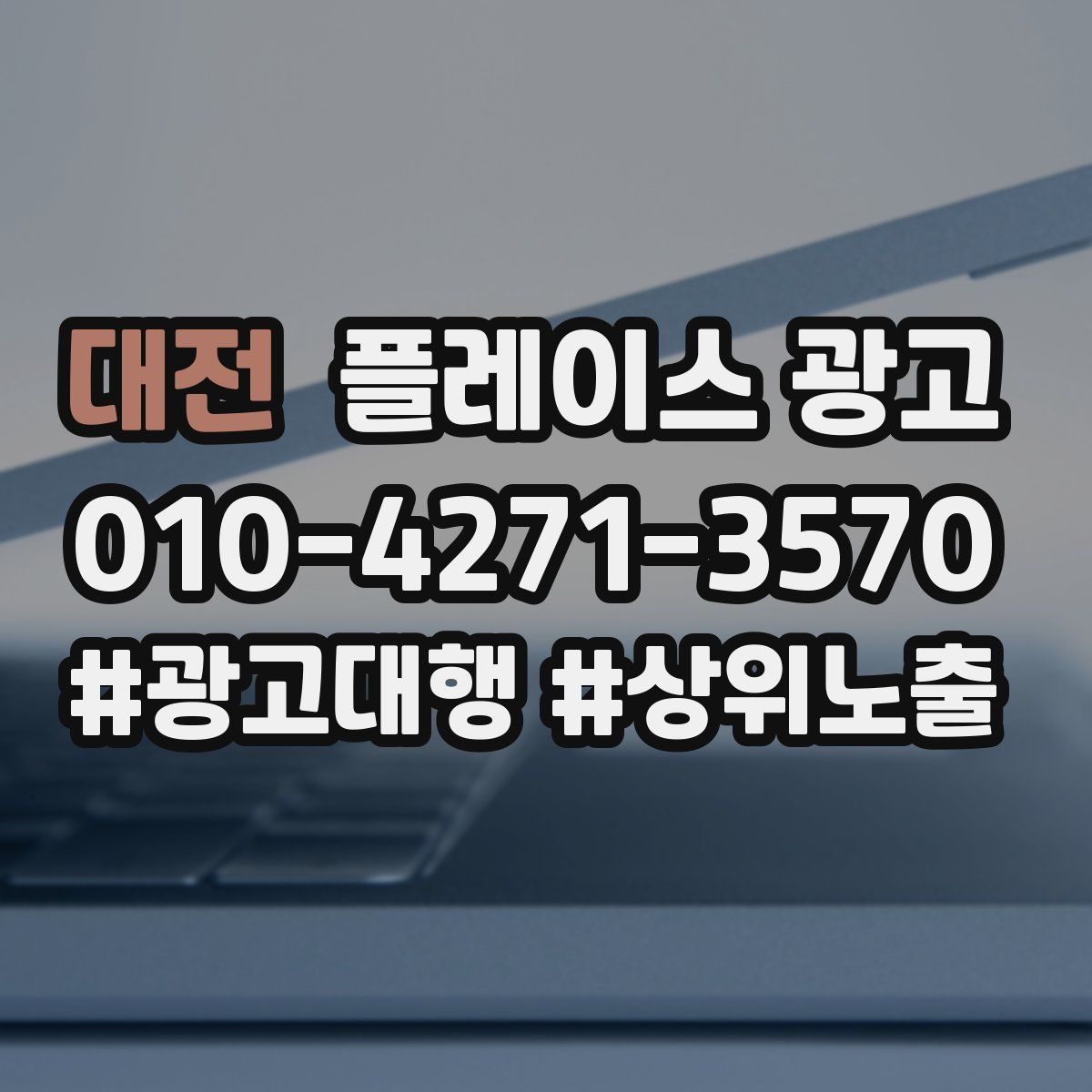 대전 플레이스 광고
