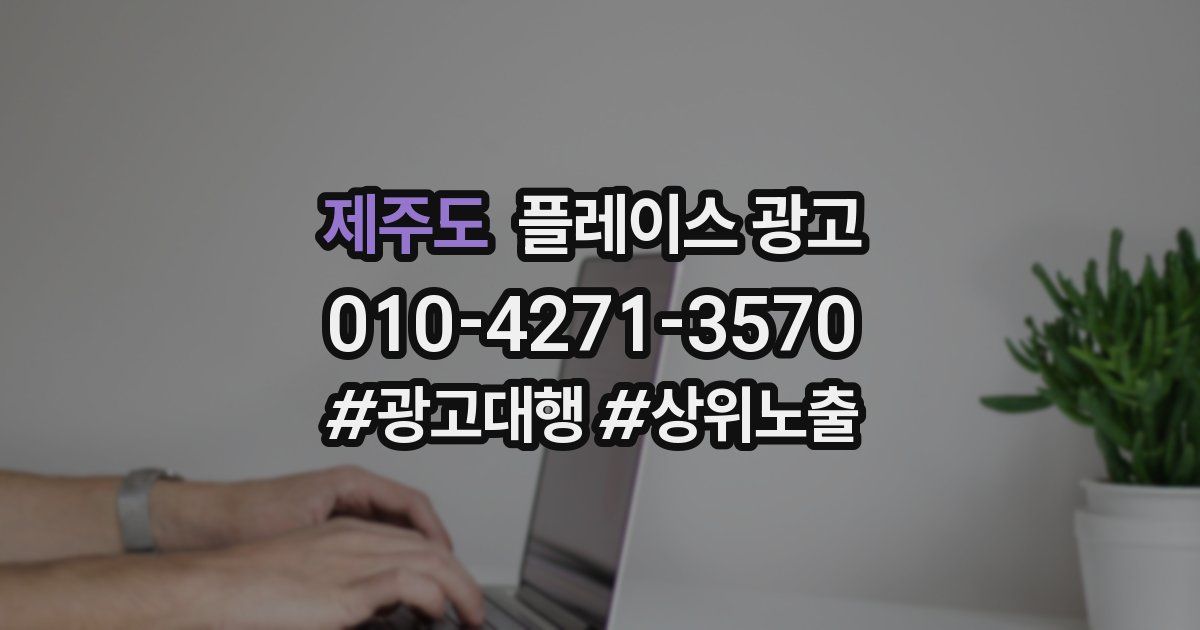 제주도 플레이스 광고