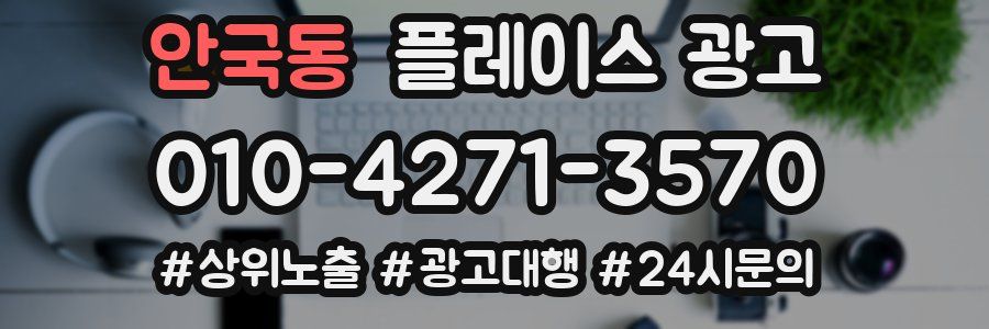 안국동 플레이스 광고