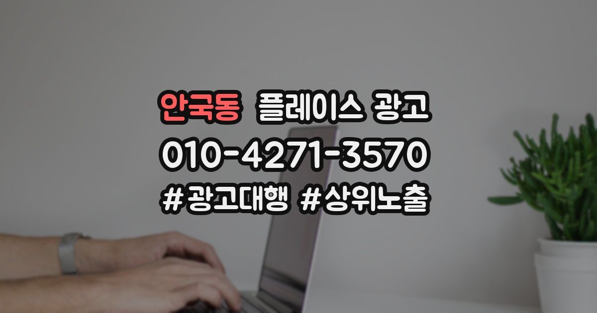 안국동 플레이스 광고