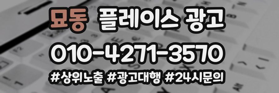 묘동 플레이스 광고
