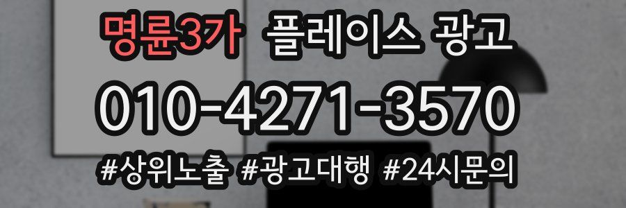 명륜3가 플레이스 광고