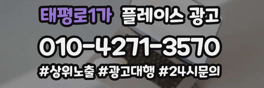 태평로1가 플레이스 광고