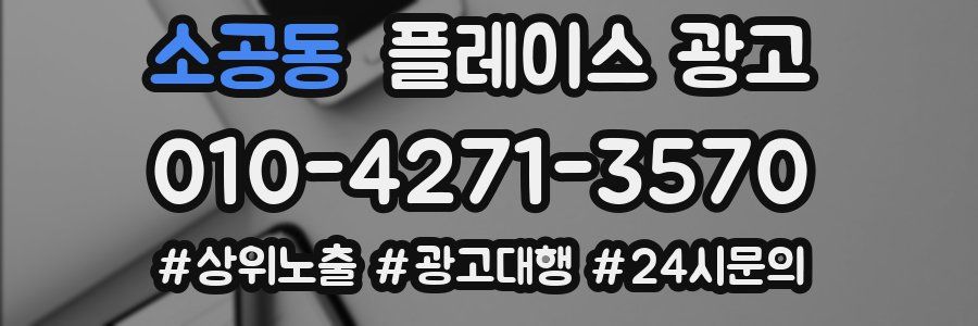 소공동 플레이스 광고