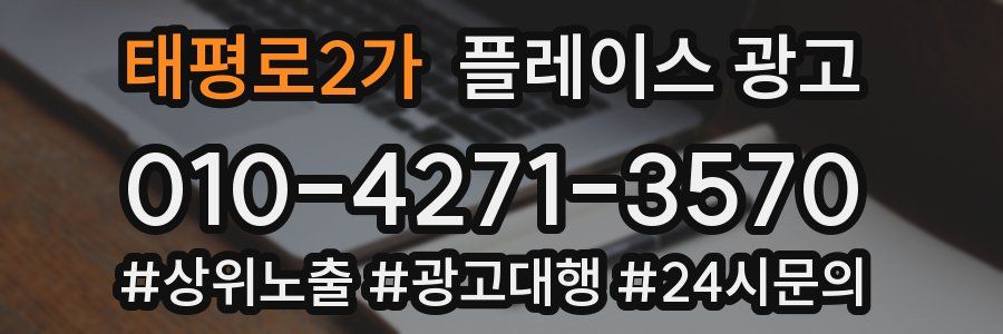 태평로2가 플레이스 광고