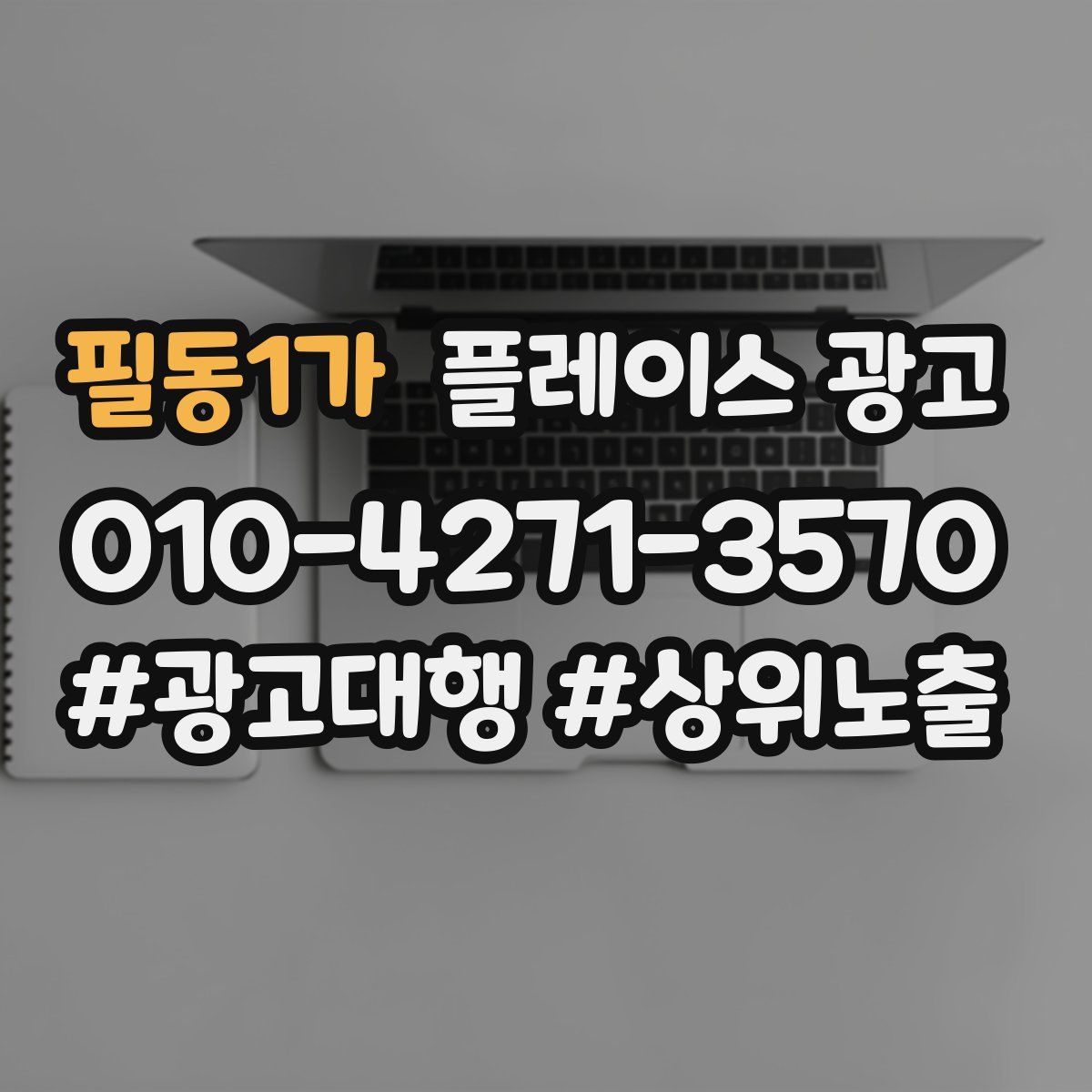 필동1가 플레이스 광고