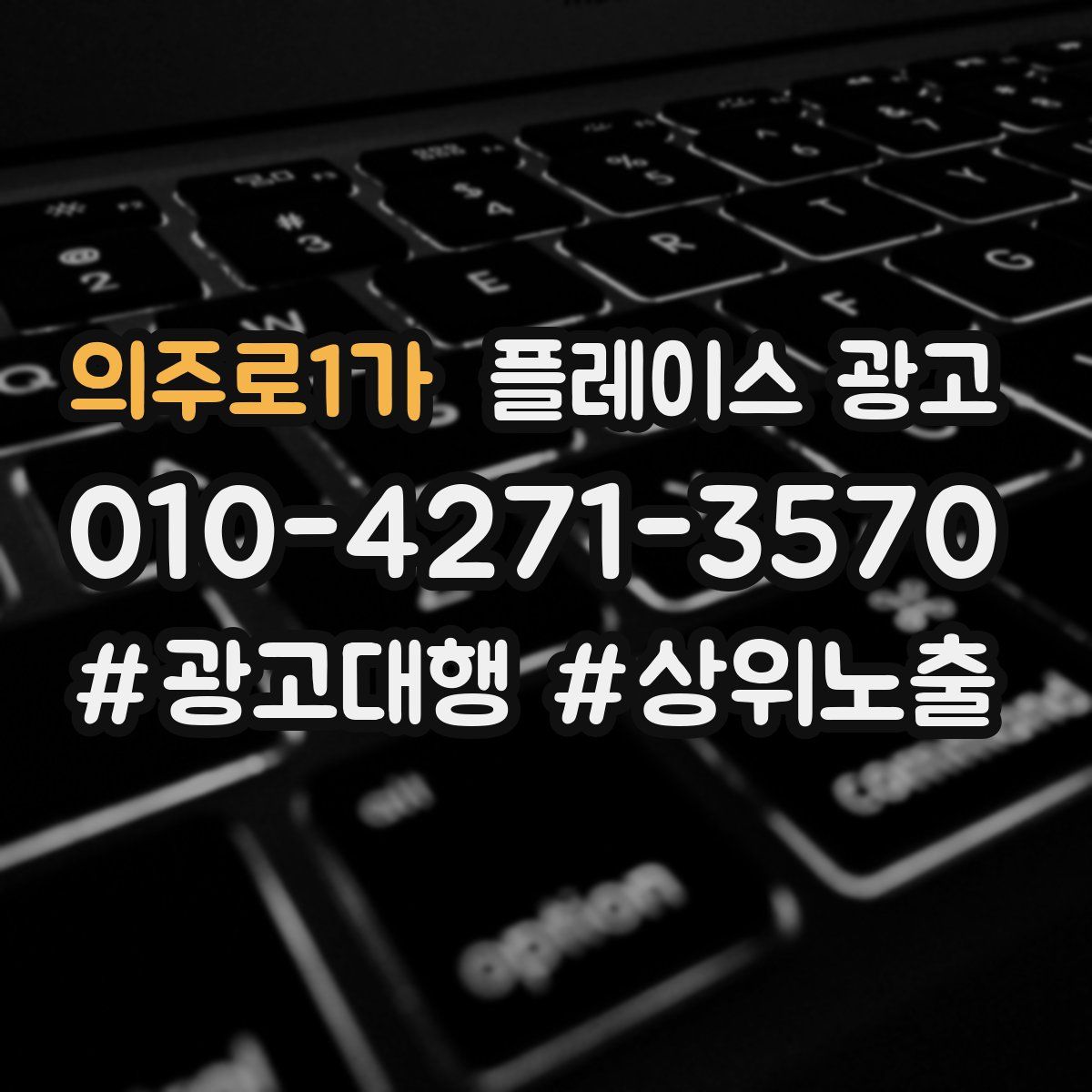 의주로1가 플레이스 광고