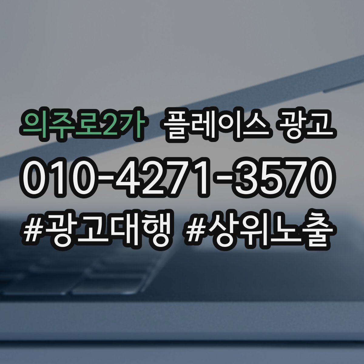 의주로2가 플레이스 광고