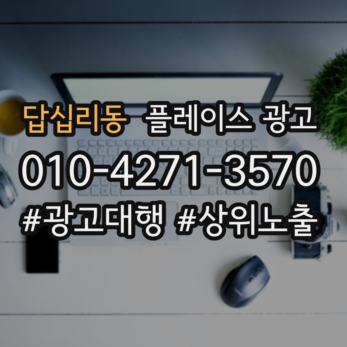 답십리동 플레이스 광고
