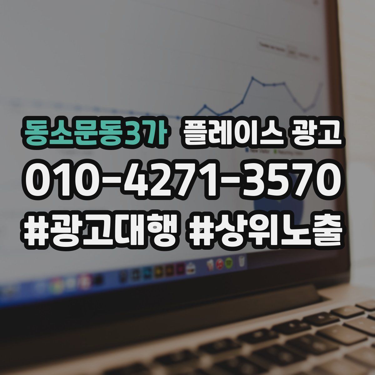 동소문동3가 플레이스 광고