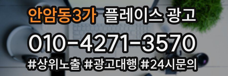안암동3가 플레이스 광고