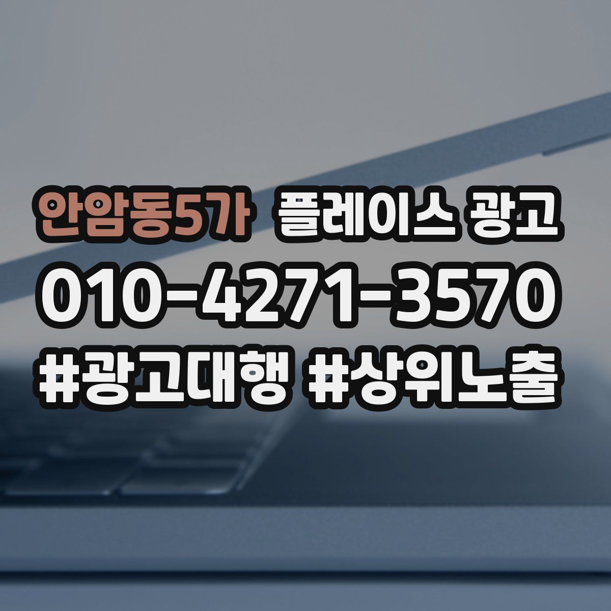 안암동5가 플레이스 광고