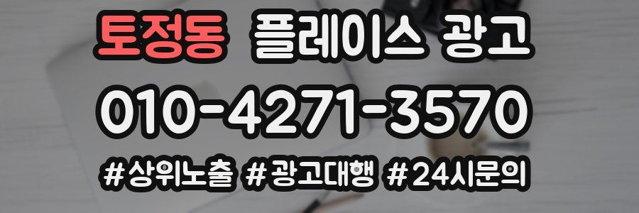 토정동 플레이스 광고