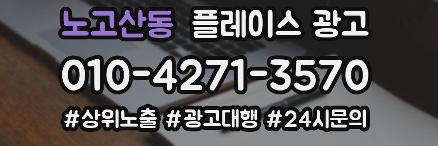 노고산동 플레이스 광고
