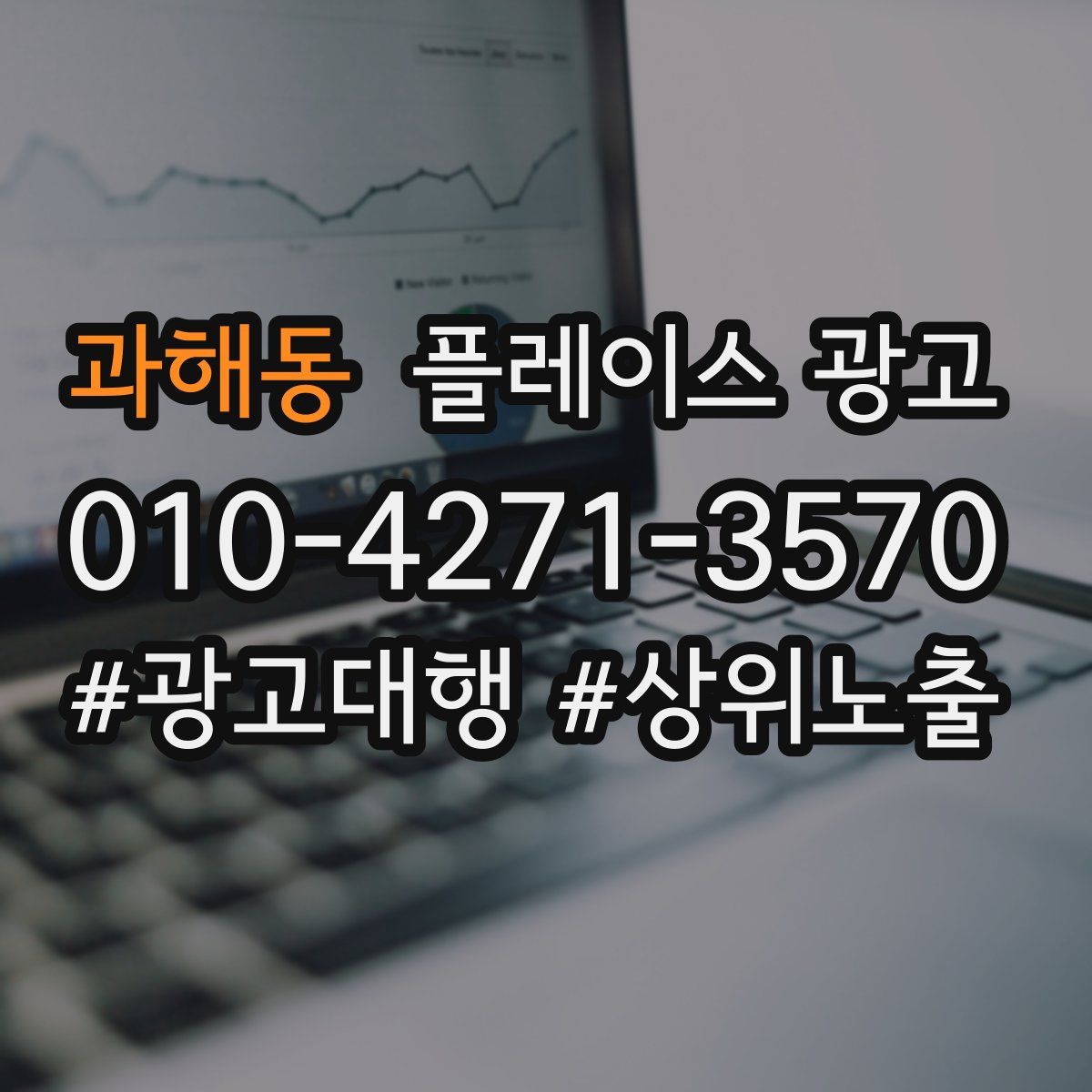 과해동 플레이스 광고