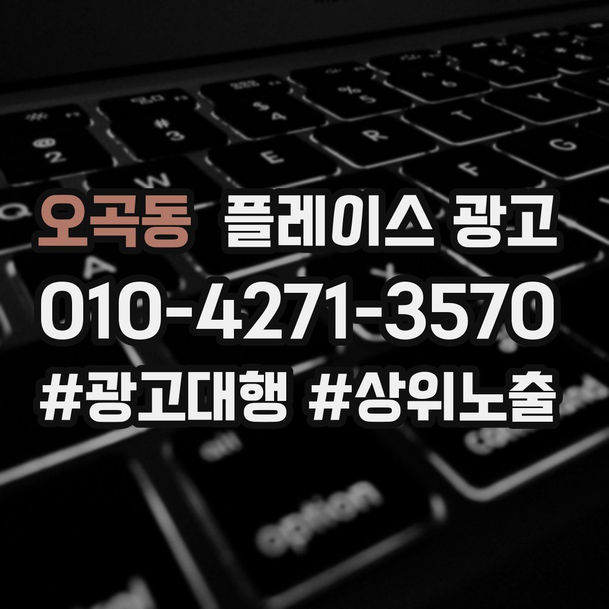 오곡동 플레이스 광고