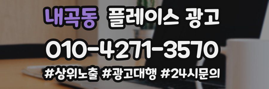 내곡동 플레이스 광고