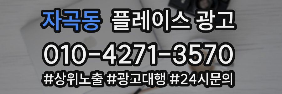 자곡동 플레이스 광고
