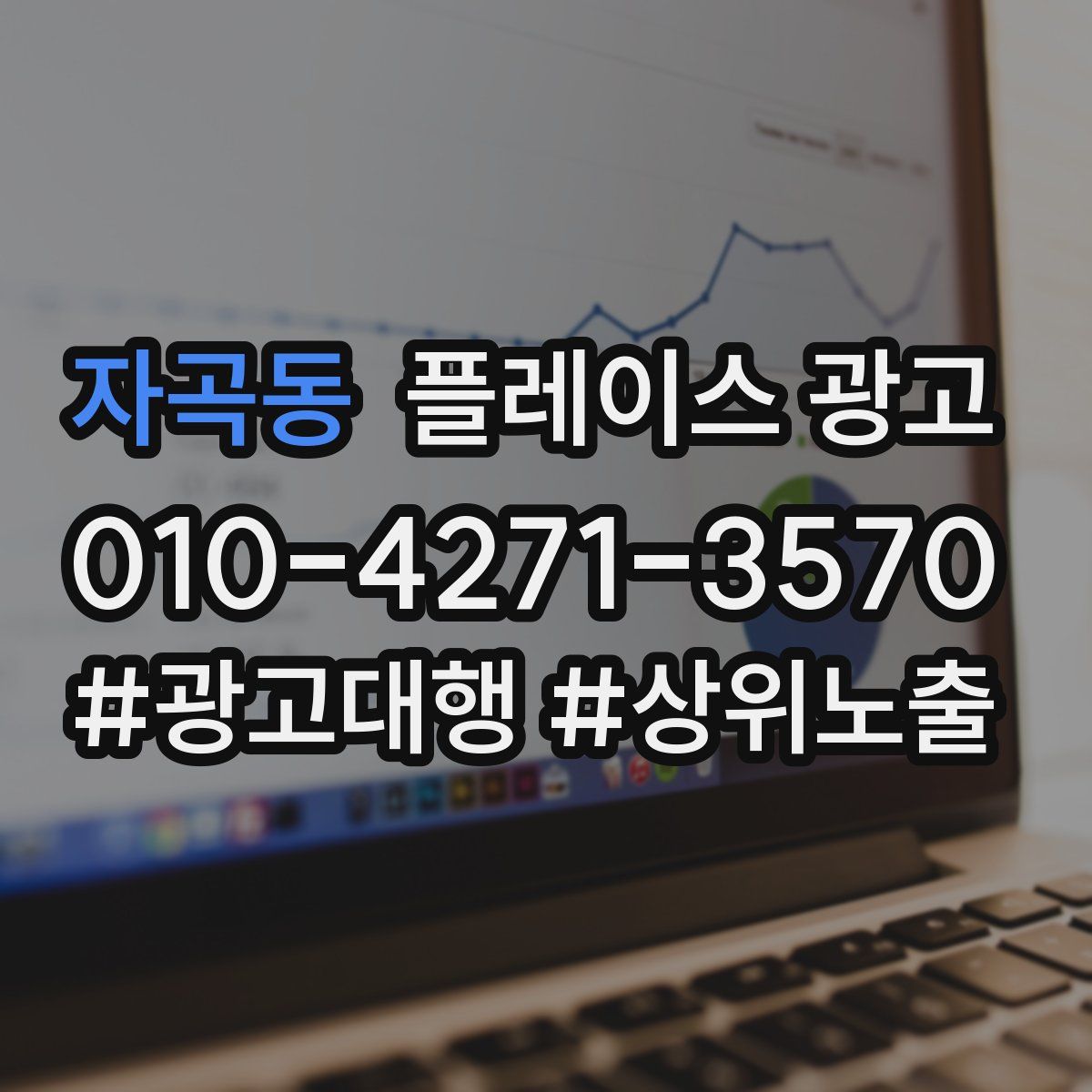 자곡동 플레이스 광고
