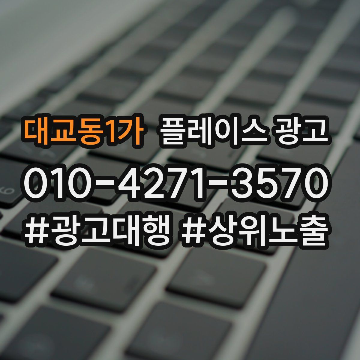 대교동1가 플레이스 광고