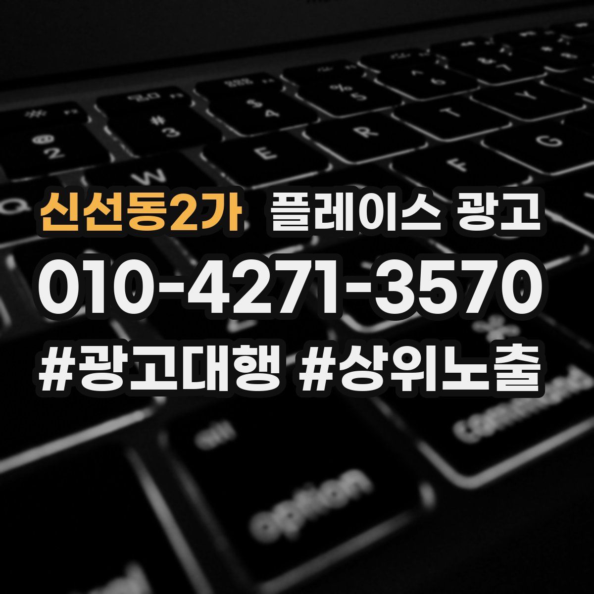 신선동2가 플레이스 광고