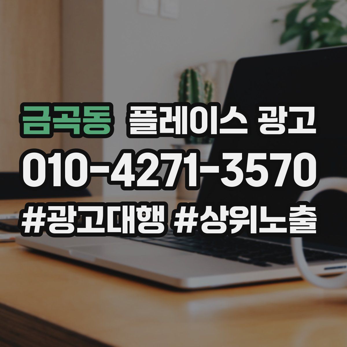 금곡동 플레이스 광고