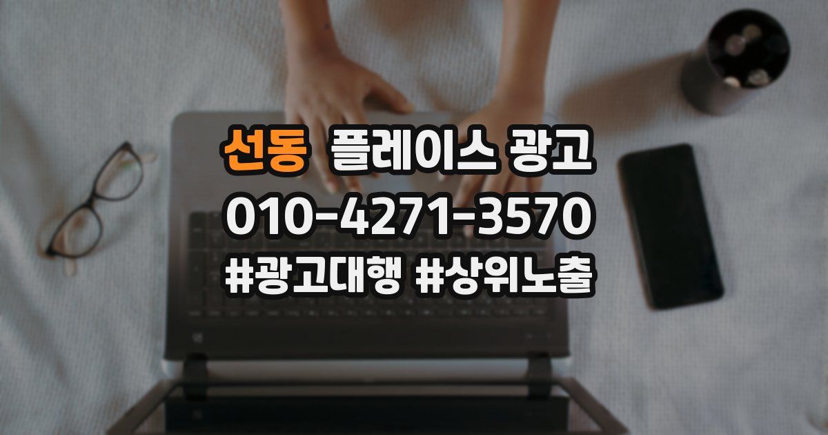 선동 플레이스 광고