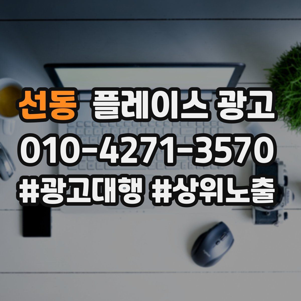 선동 플레이스 광고