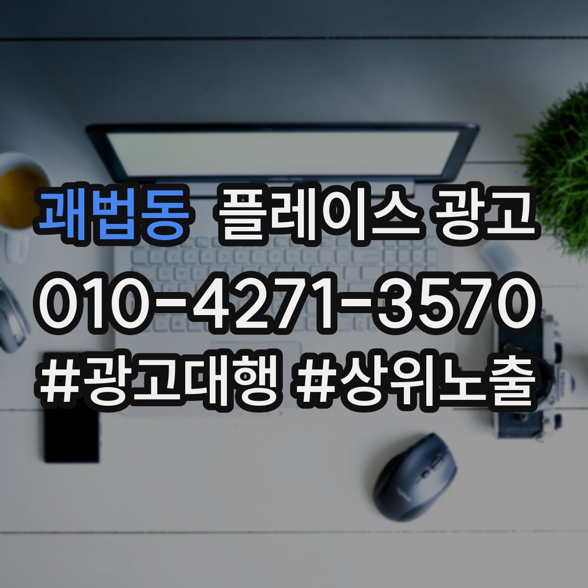괘법동 플레이스 광고