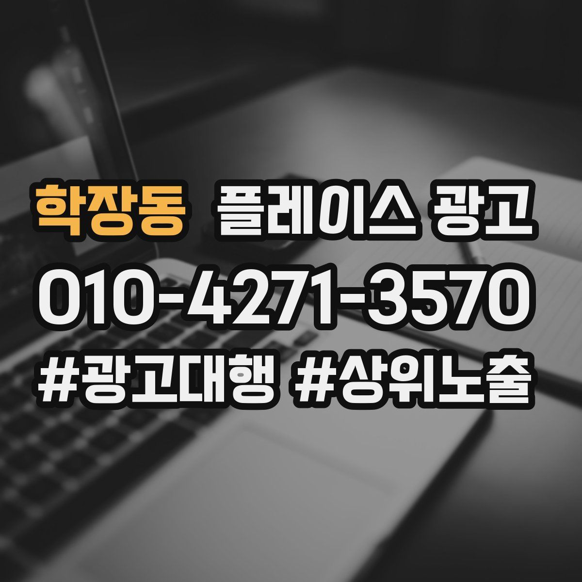 학장동 플레이스 광고