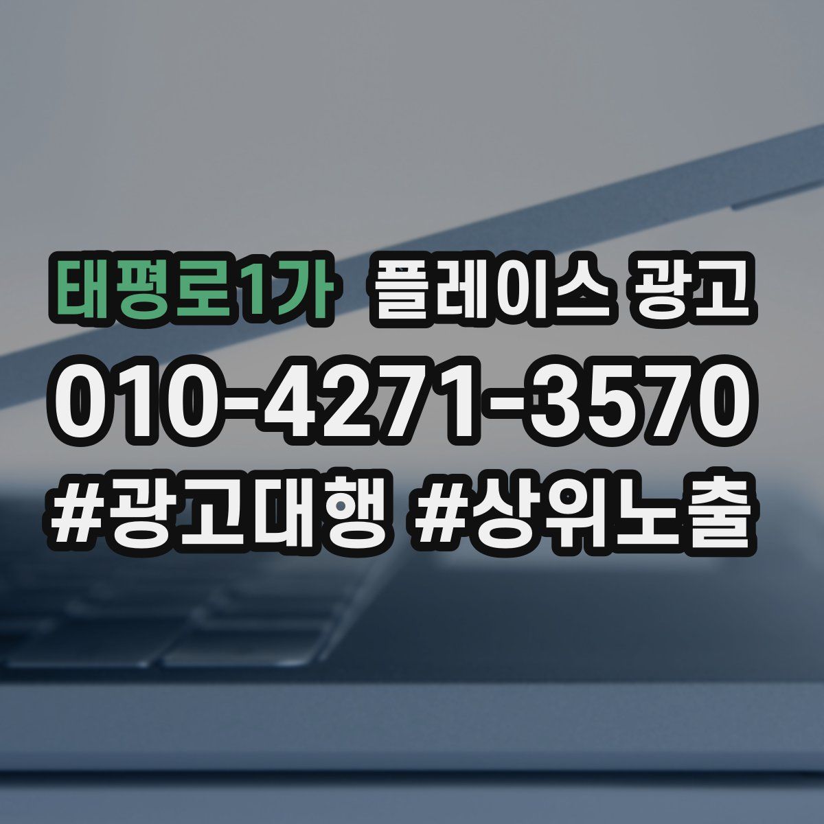 태평로1가 플레이스 광고