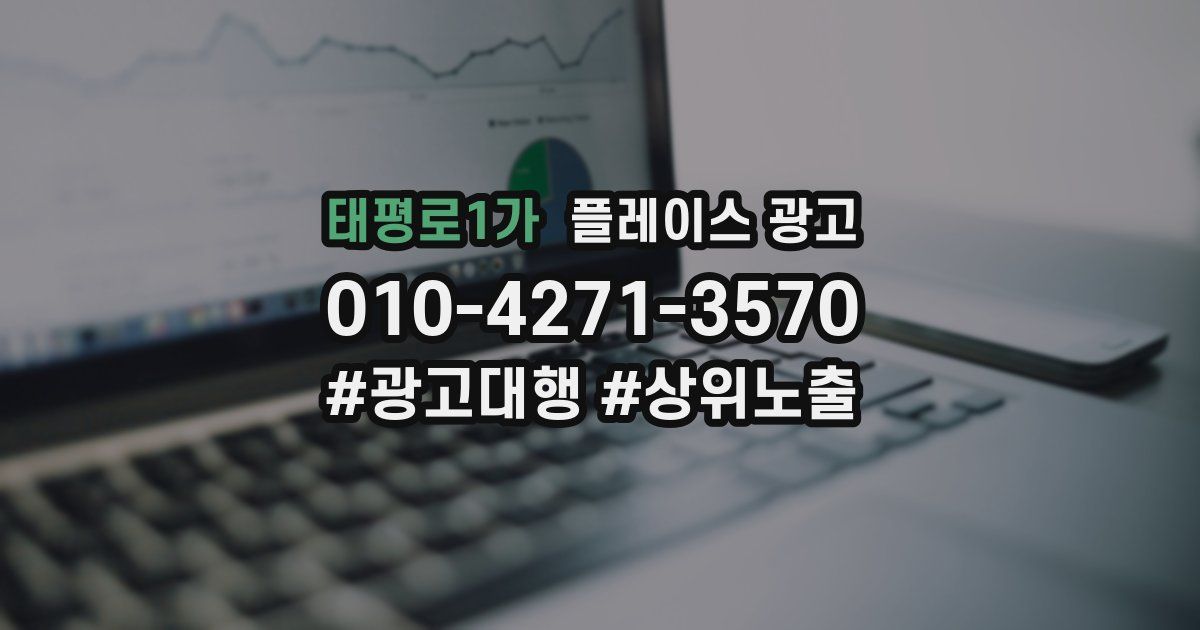 태평로1가 플레이스 광고