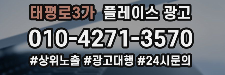 태평로3가 플레이스 광고